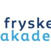 22 novimber 2024: Akademylêzingen Frisia en de Fikingtiid / Ferpleechkunde yn de GGZ