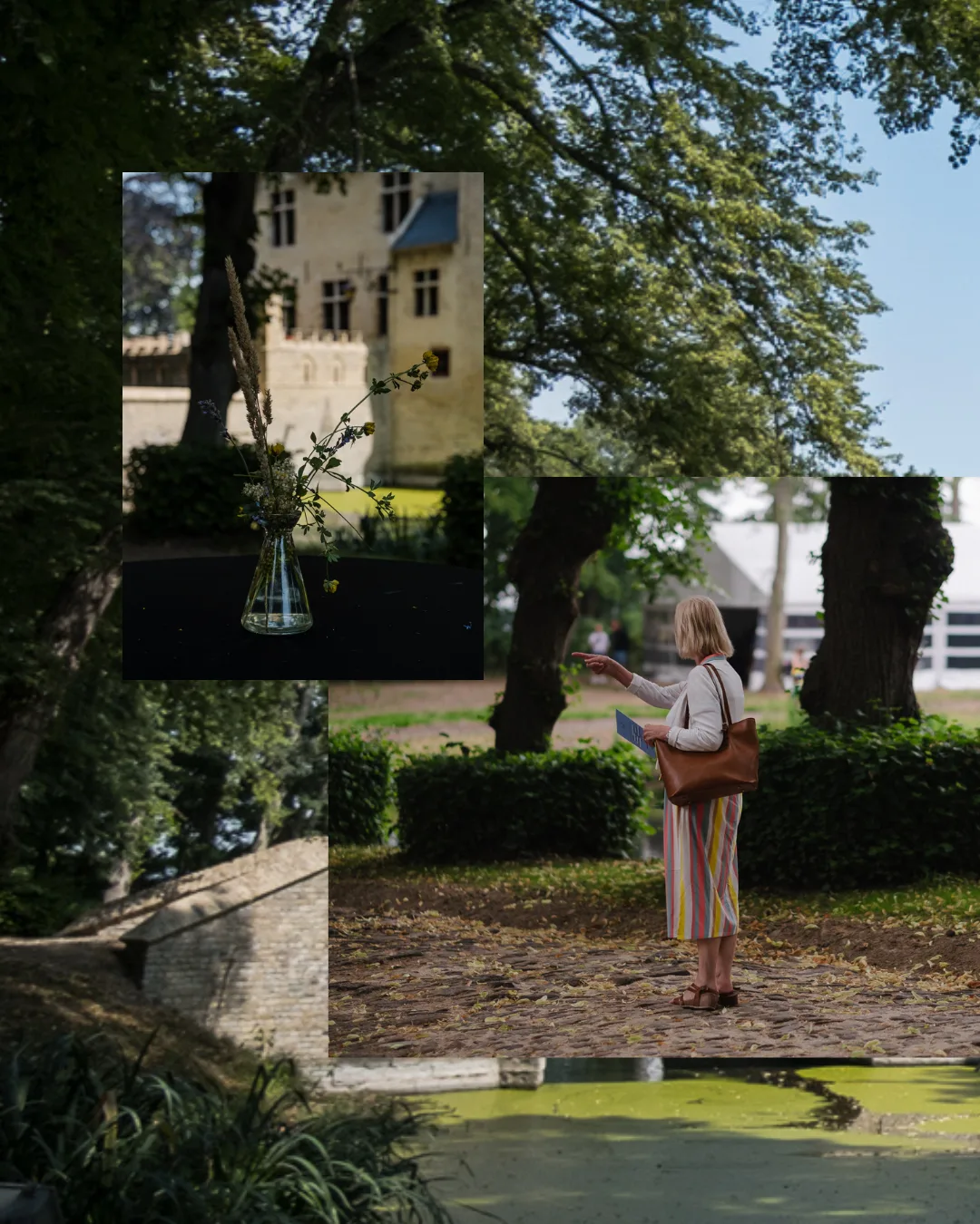 Een stevig gegroeid publieksbereik