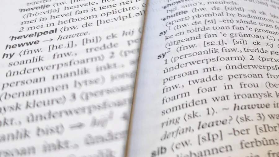 Deze afbeelding heeft een leeg alt-attribuut; de bestandsnaam is csm_2025_news_nonbiner_f7812921cf.webp