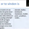 Webinar ‘Hoe schrijf je een dialectwoordenboek?’