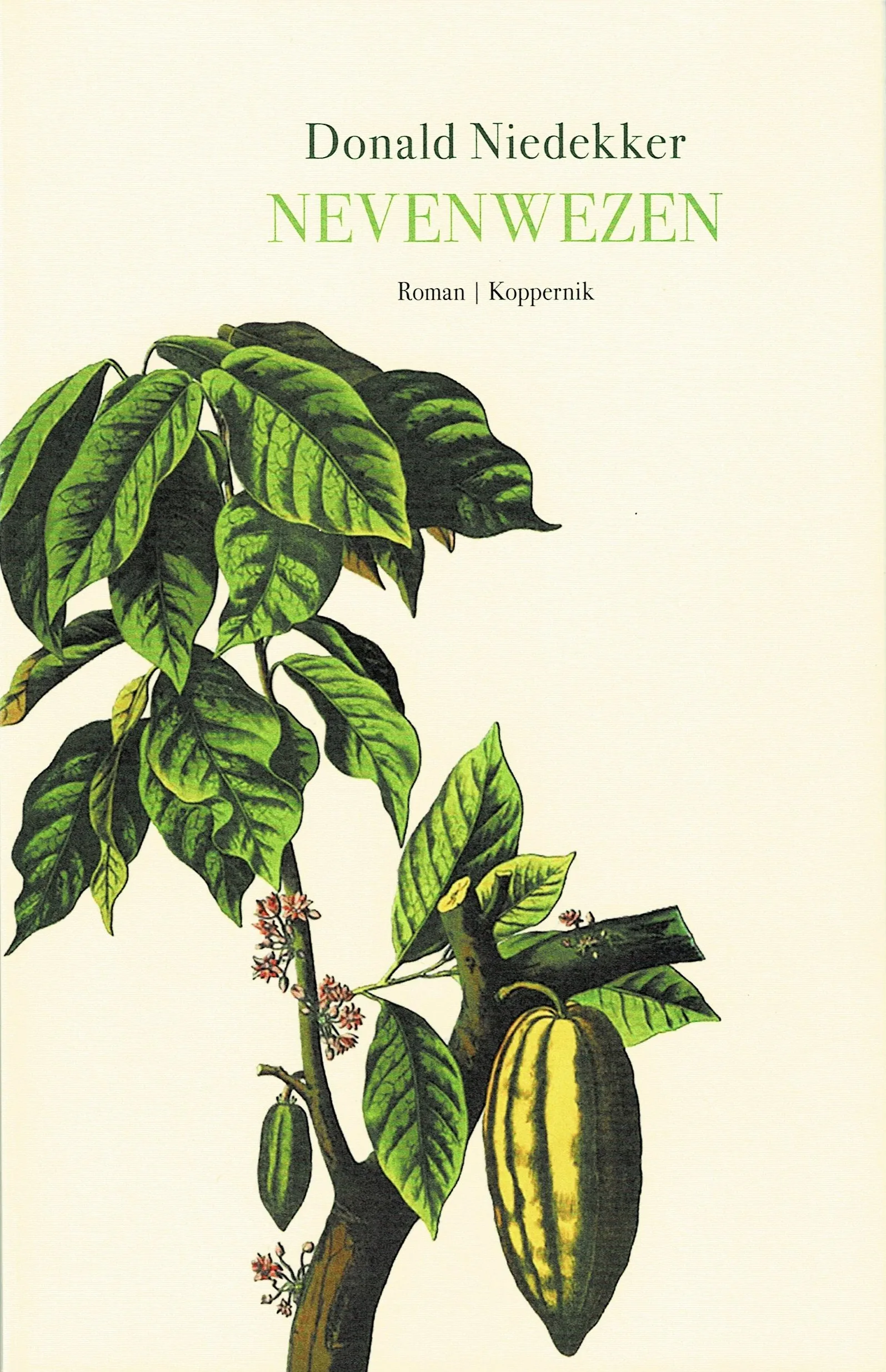 Het zintuigelijk schrijven van Donald Niedekker