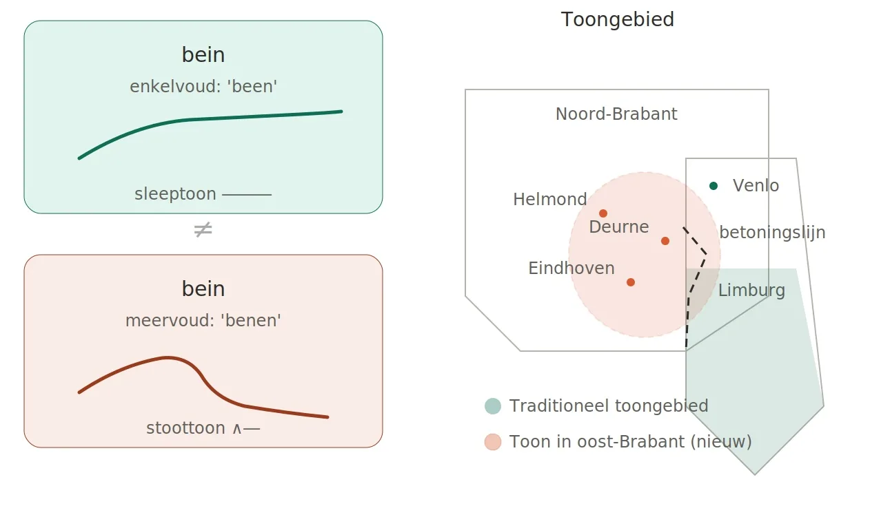Toon in Noord-Brabant!